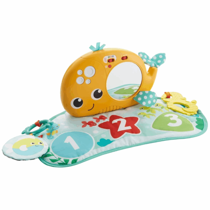 Baleia de Atividades